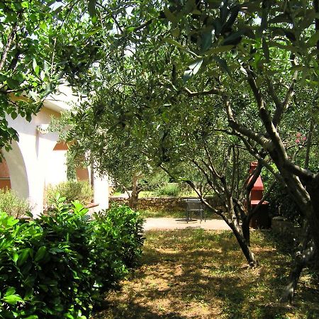 Apartments Sokolovic Krk Town Εξωτερικό φωτογραφία