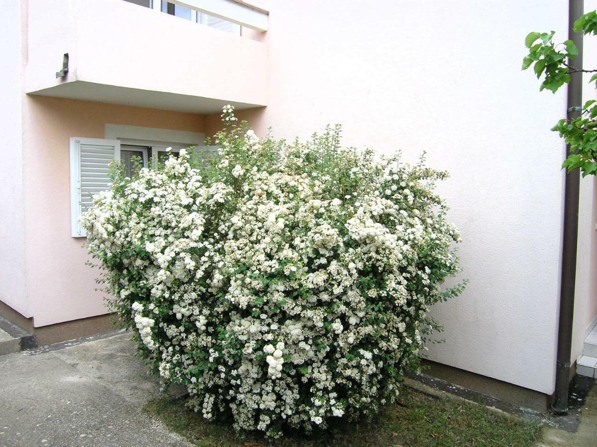 Apartments Sokolovic Krk Town Εξωτερικό φωτογραφία